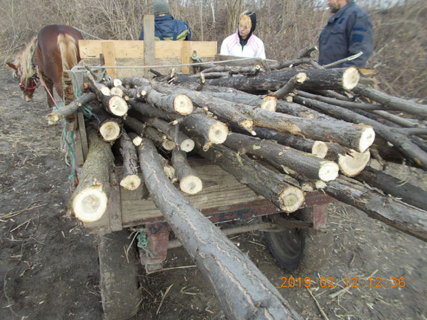 ПОЉОЧУВАРИ ДОБИЛИ ПОЈАЧАЊЕ: И рониоци чувају шуму